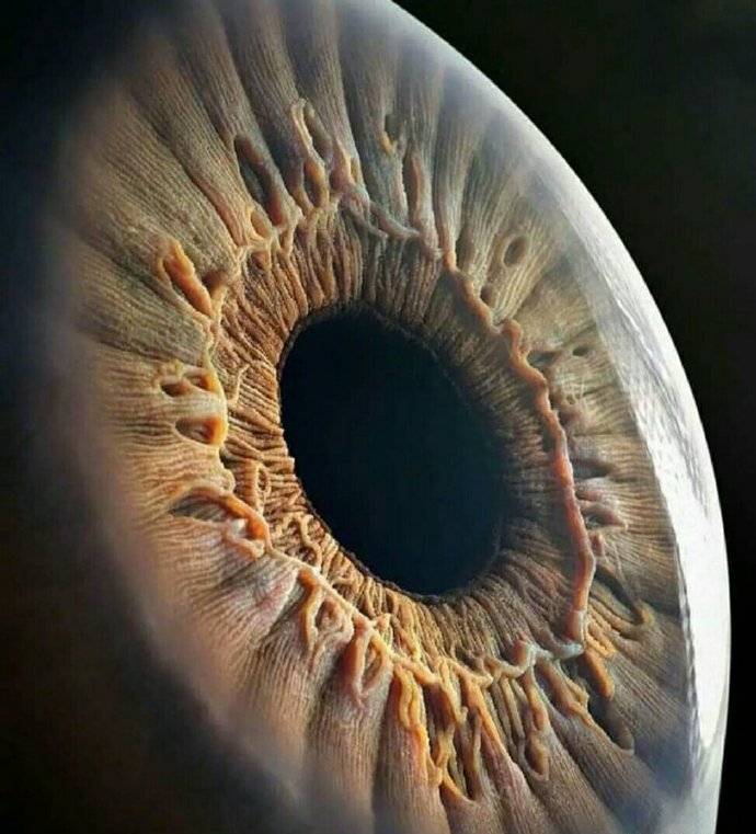 人类眼球瞳孔放大特写