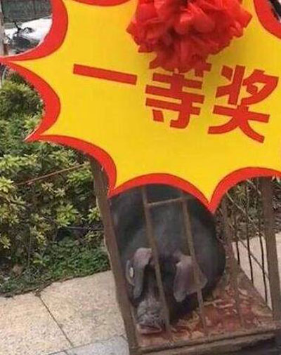今天中了一等大奖