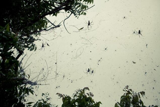 详细阅读:天上除了下雨 还能下什么 天上除了下雨 还能下什么